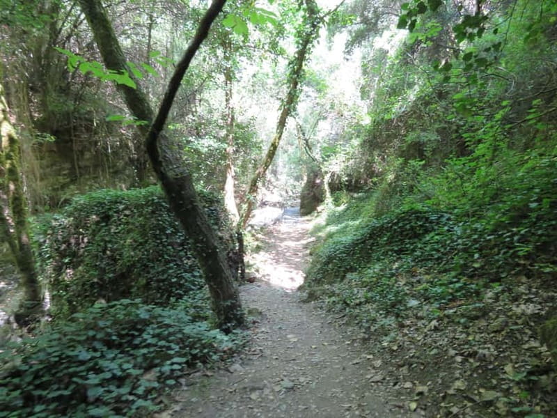 From Platanias: Guided Mountain Half day Trip with snack! - Sarakina Gorge: A Natural Wonder in a Short Walk