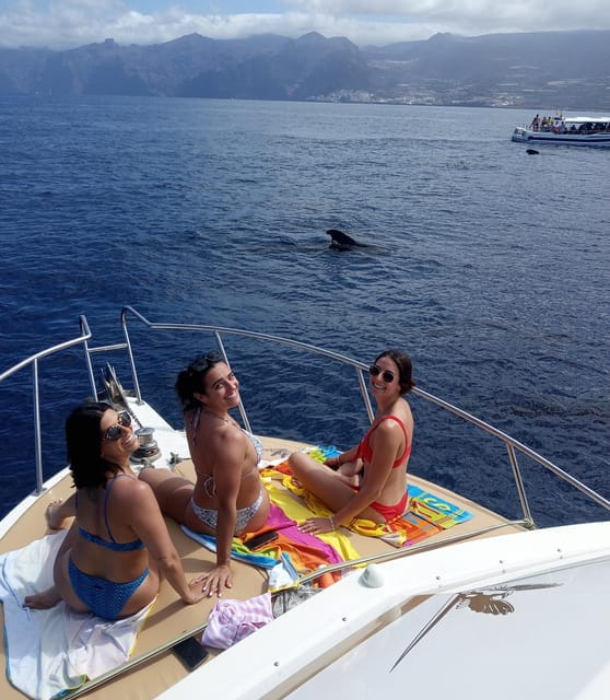 From Playa San Juan: Whale Watching, Gigantes, and Masca Bay - Who Will Love This Tour?