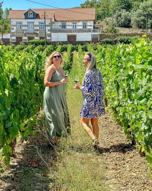 From Porto: Douro Valley Private Tour w/ 3 Wineries & Lunch - Scenic Drives and Photo Stops