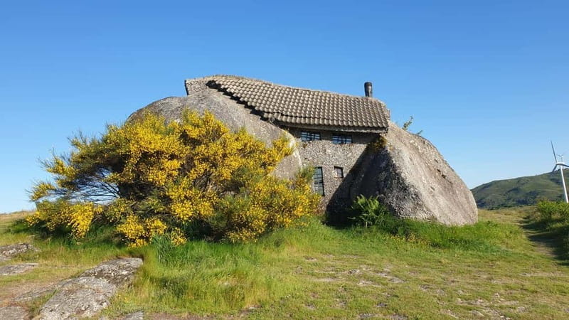 From Porto: Nature and Wine tasting Full-Day Tour - How the Day Unfolds: From Porto to the Heart of Norte