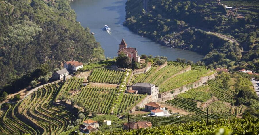 From Porto: Premium Douro Valley Small-Group Wine Tour - Why This Tour Offers Great Value