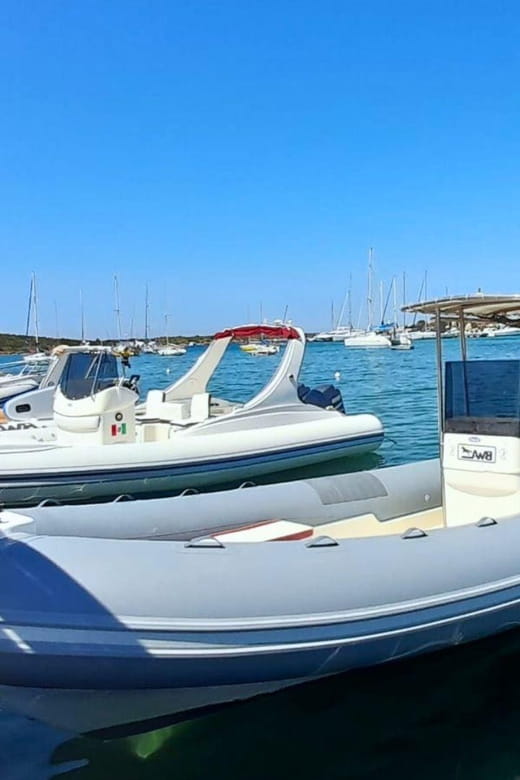 From Porto Rotondo: Private dinghy tour - Price and Value: Is It Worth It?