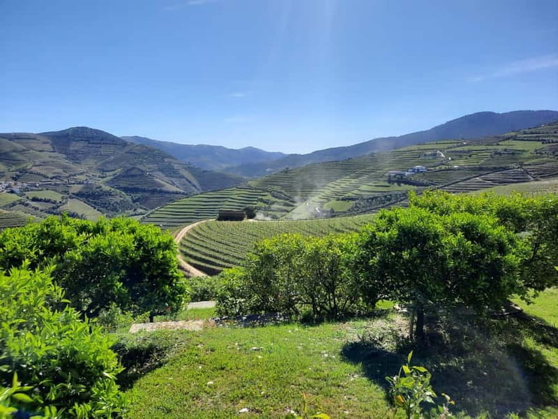 From Porto: small-group guided tour of the Douro Valley and Gerês - Day 1: Exploring Gerês – Waterfalls and Mountain Lagoons