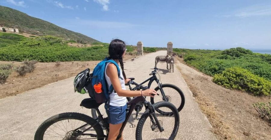 From Porto Torres: E-Bike Rental - Price and Logistics: An Honest Look