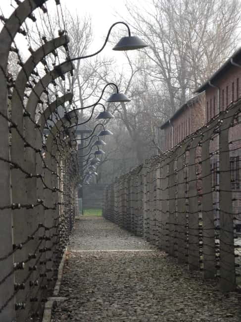 From Prague: Auschwitz-Birkenau Memorial Private Tour - The Experience You Can Expect