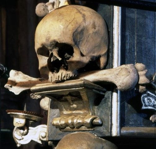 From Prague: Kutna Hora Walking Tour & St. Barbara Cathedral - Who Will Love This Tour?