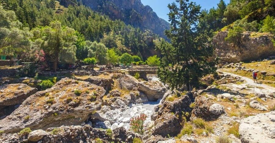 From Rethymno: Samaria gorge with Professional Hiking Guide - Pricing and What’s Included