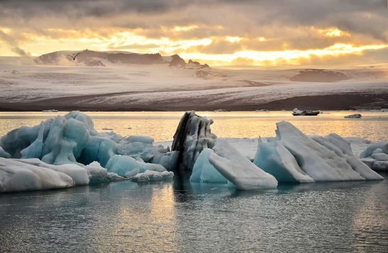 From Reykjavik: Glacier Lagoon and Fjaðrárgjúfur Canyon Tour - Starting Point and Logistics: Convenient Pickup and Time Commitment