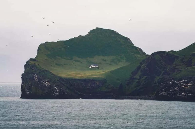 From Reykjavik: Vestmannaeyjar Islands Day Trip - Price, Logistics, and Value