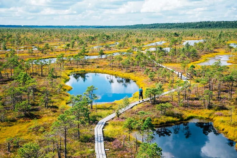 From Riga: Jurmala and Great Kemeri Private Full-Day Trip - The Natural Wonder of Kemeri Bog