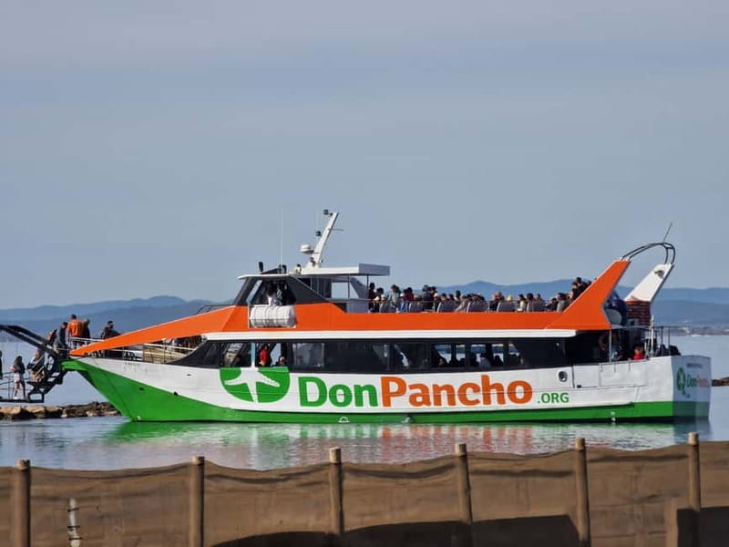 From Roses: Cruise on Costa Brava to Cadaqués - Who Would Enjoy This Tour?