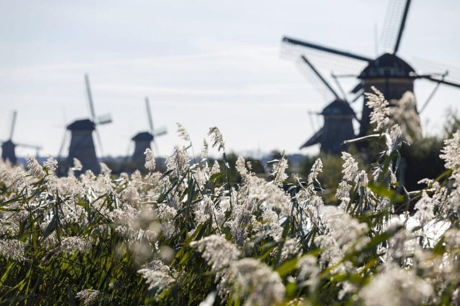 From Rotterdam: Kinderdijk, Delft & The Hague Private Tour - Exploring Kinderdijk: Windmills and Waterways