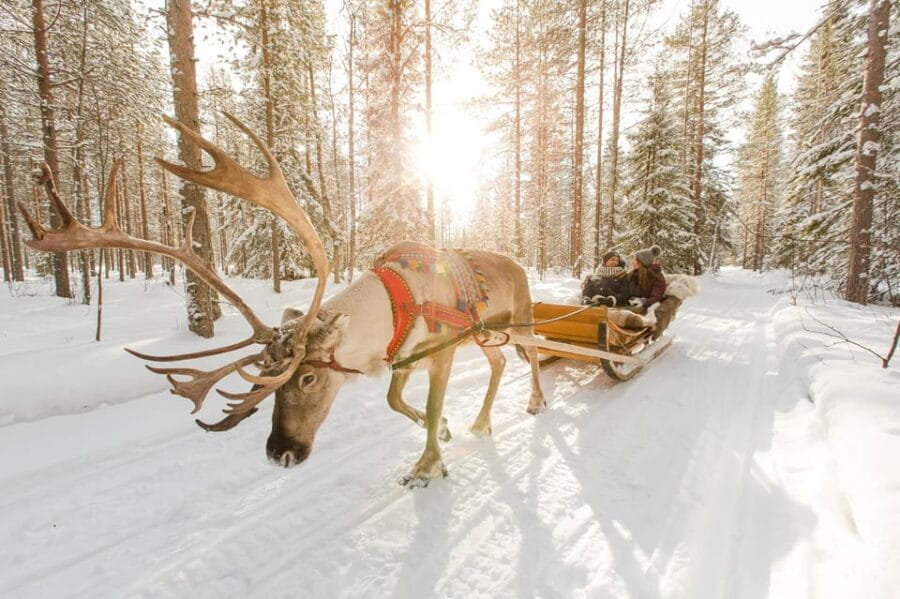 From Rovaniemi: Reindeer Farm Visit with Sleigh Ride - The Logistics: What to Expect and Tips for a Smooth Experience
