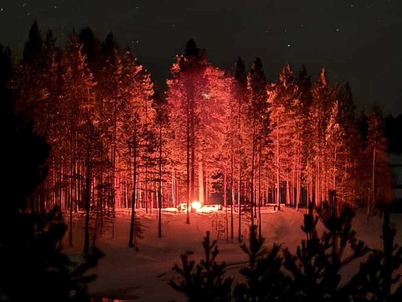 From Saariselkä: Aurora Hunting Tour with Campfire & Snacks - Scenery and the Hunt for Aurora Borealis