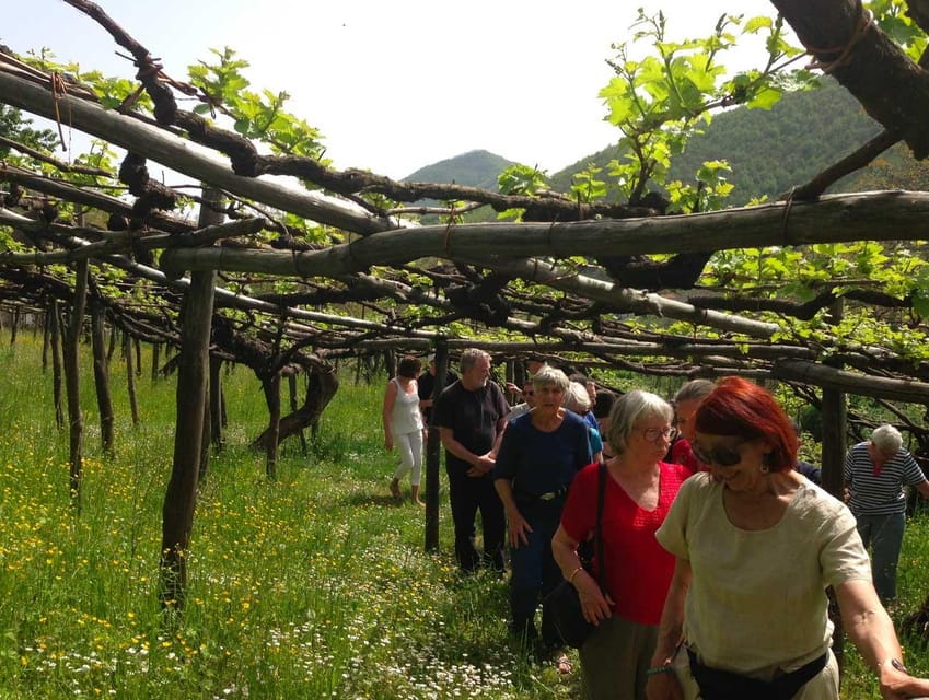 From Salerno: Amalfi Coast Tour and Wine Tasting with Lunch - Amalfi Town: A Brief but Meaningful Visit