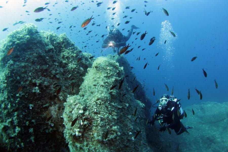 From San Teodoro: diving for experts in Tavolara and Molara - Entering Sardinia’s Marine Wonderland: What To Expect
