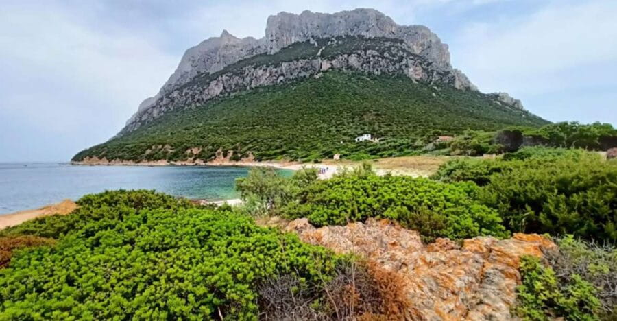 From San Teodoro: Tavolara Archipelago Mini Tour - Exploring the Natural Wonders of Proratora Island