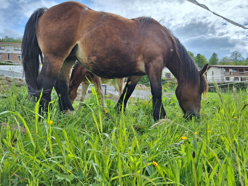 from Santander: Fascinating Saint Sebastian of Garabandal - Exploring the Village and Its Holy Sites