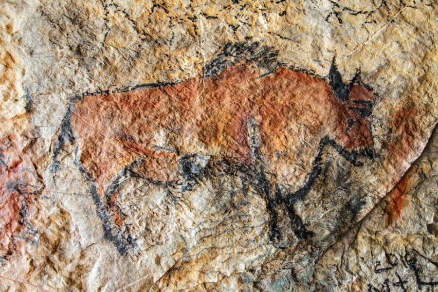 From Sarlat: Half-Day Skip-the-Line Lascaux IV Tour - Understanding What’s Special About the Replica Cave