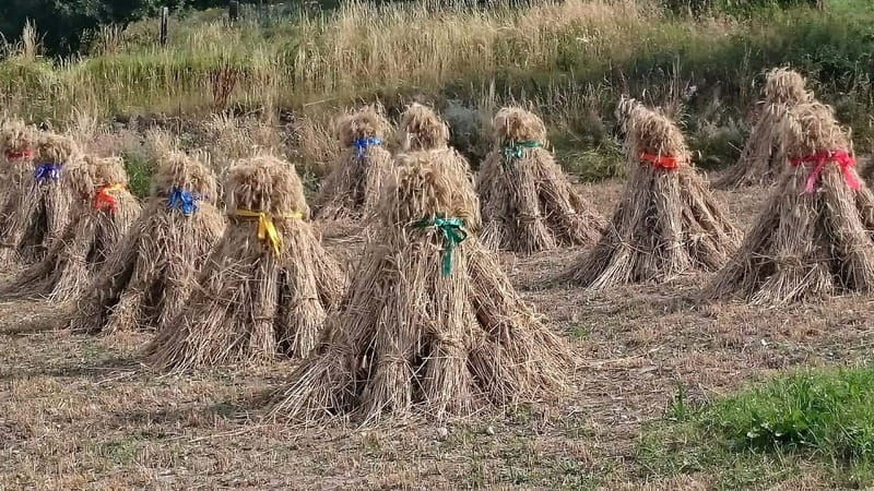 From Sauze d'Oulx to Capanna Mollino: Alpine architecture - Exploring the Alps: A Detailed Breakdown of the Tour