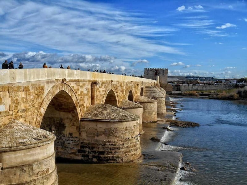From Seville: Cordoba Day Trip with Guided Tour - Who This Tour Is Best For