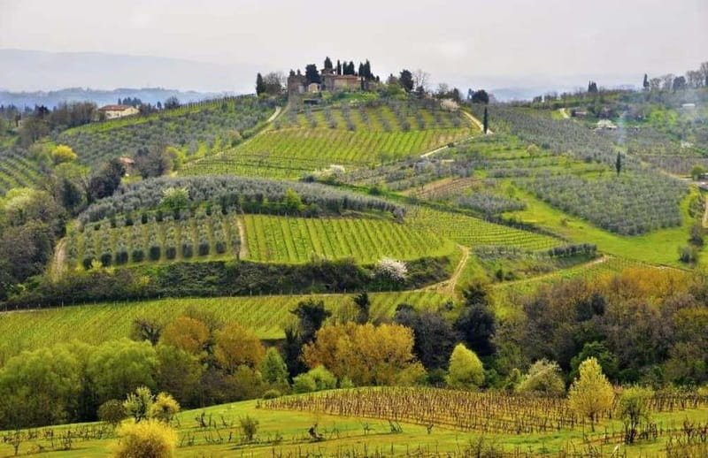 From Siena: Chianti and Castle Tour - Final Thoughts: Is This Tour Right for You?