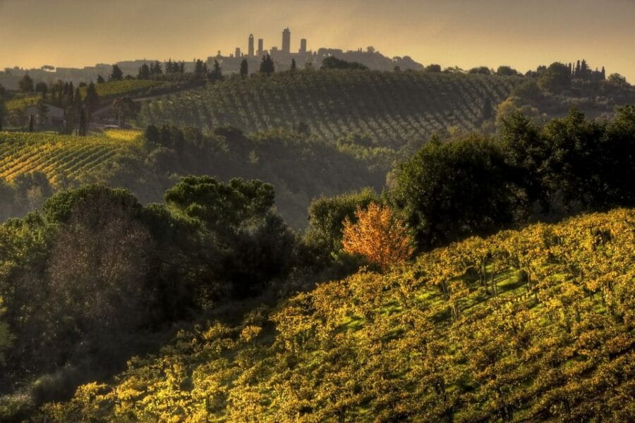 From Siena: Chianti and San Gimignano Sunset Tour - Wrapping It Up: Is This Tour for You?