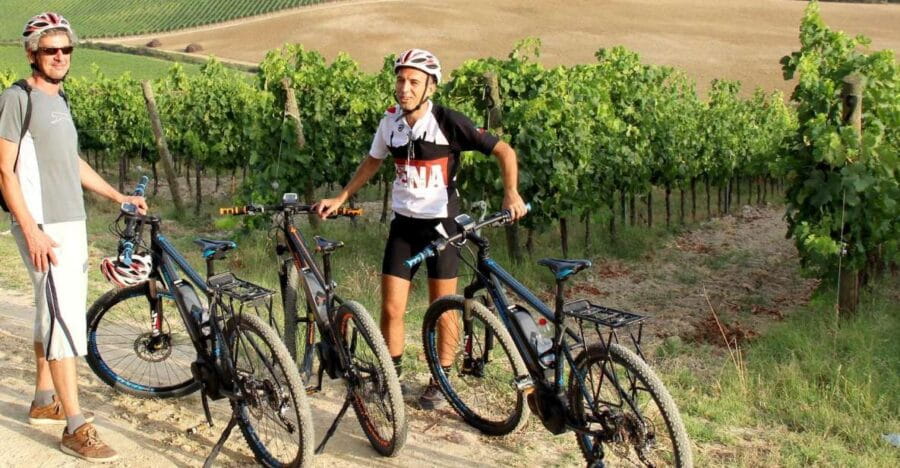 From Siena: Chianti Countryside E-Bike Tour w/ Lunch & Wine - Practical Tips for Your Trip