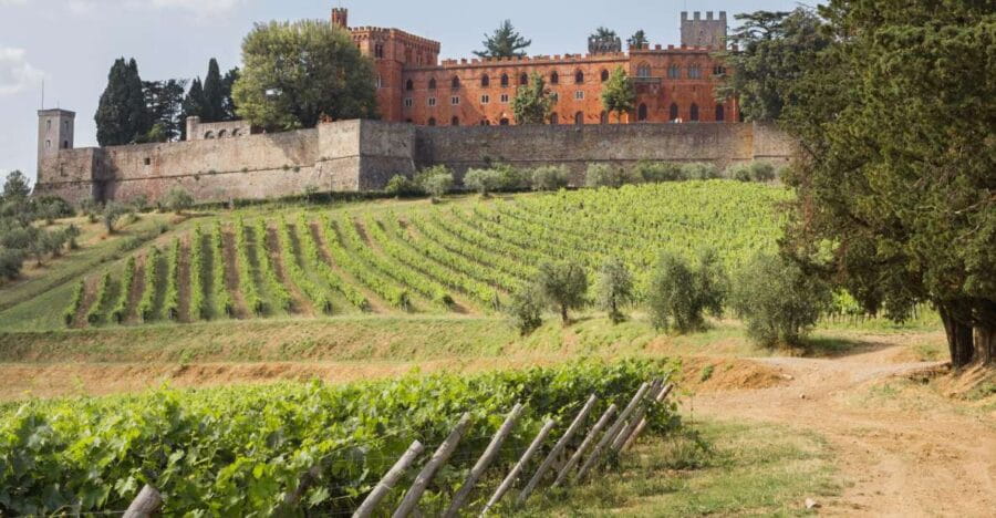 From Siena: Chianti Wine Tour with Lunch - Who Is This Tour Best For?