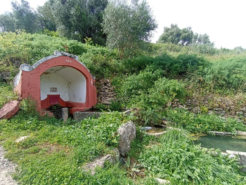 From Sintra, Mafra, or Ericeira: Hike and Wine Tour - A Visit to Manzwine: Craftsmanship and Culture