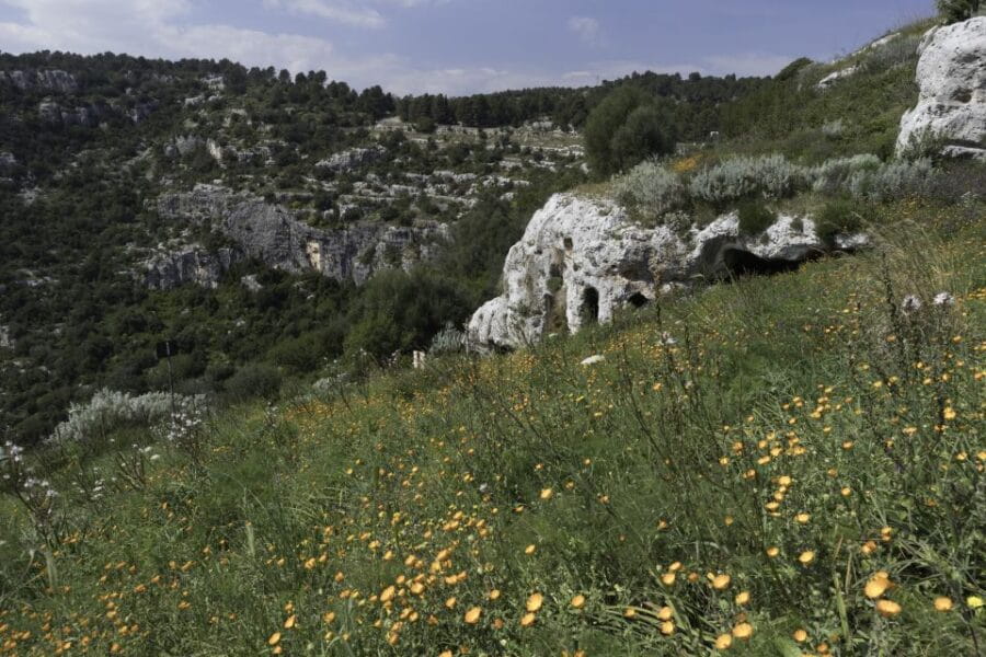 From Siracusa: Pantalica Nature Reserve Guided Hiking Tour - Practical Tips for Your Pantalica Adventure