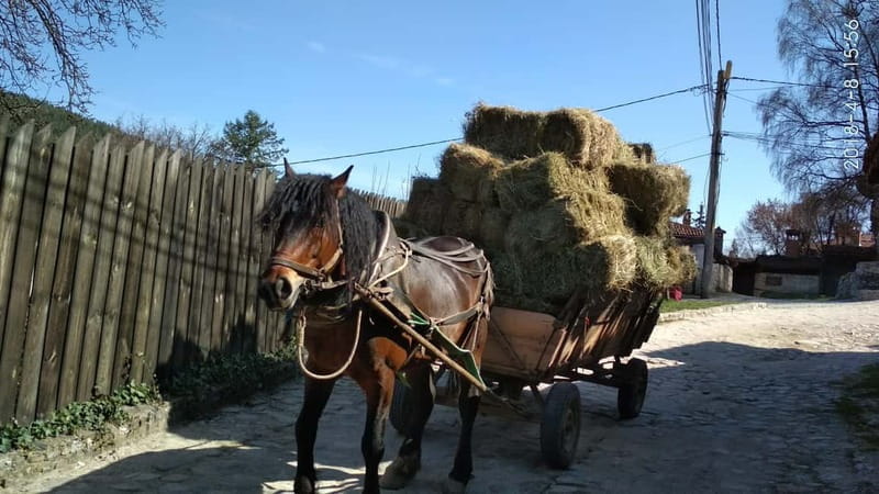 From Sofia: Koprivshtitsa, Starosel, and Wine Tasting Tour - Why This Tour Works for You