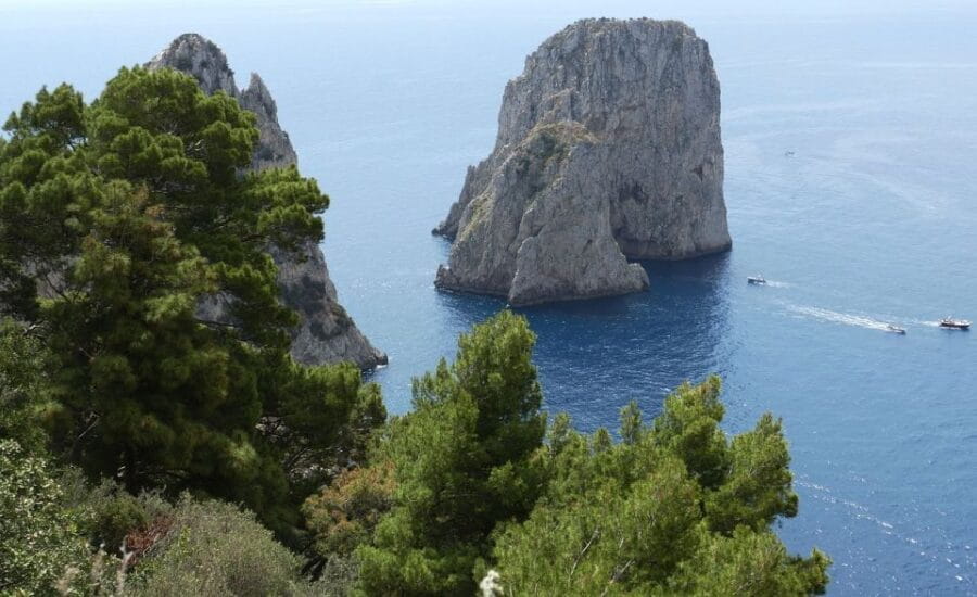 From Sorrento: Capri Afternoon and Evening Tour - Who Will Love This Tour?