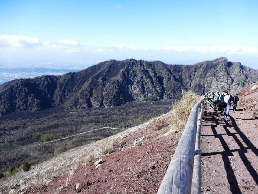 From Sorrento: Day Tour to Pompeii Ruins and Mount Vesuvius - Price and Logistics: Good Value for a Busy Day
