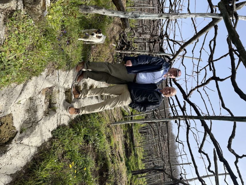 From Sorrento: Pompeii & Wine Tasting Private Tour by car - Logistics and Practical Tips