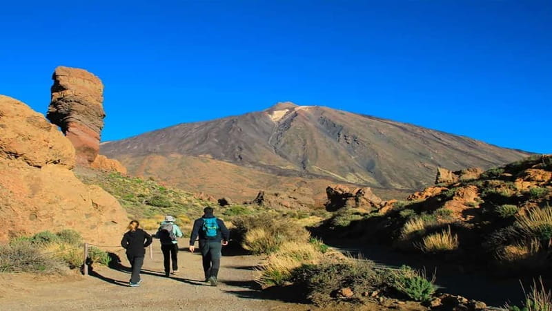 From South Tenerife: Half-Day Tour to Mount Teide - What to Expect: A Detailed Breakdown