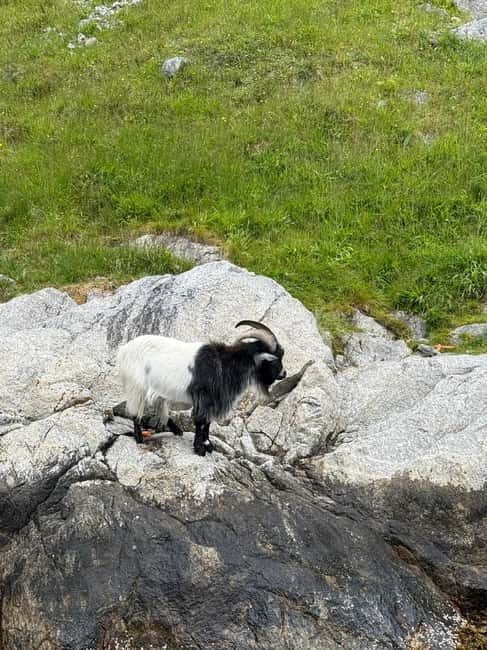 From Stavanger: Lysefjorden & Pulpit Rock Safari by RIB - Price and Value: Is it worth it?