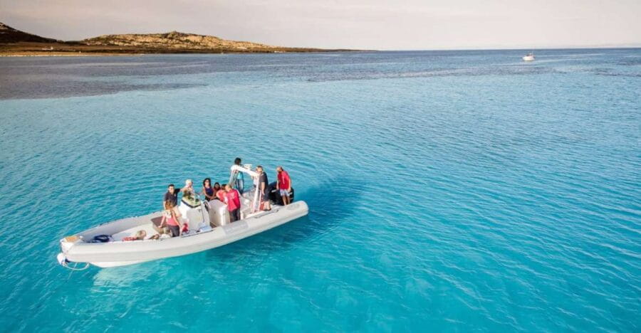 From Stintino: Half-day dinghy tour in Asinara Gulf - Why This Tour Is a Solid Choice
