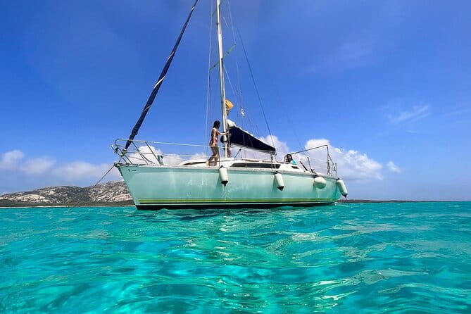 From Stintino: sailboat tour to Asinara - Who Will Love This Tour?