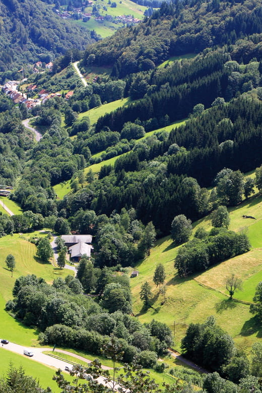 From Strasbourg: Black Forest and Baden Baden Day Trip - The Itinerary: What You Can Expect Step-by-Step