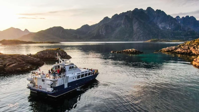 From Svolvær: Lofoten Trollfjord Cruise & Sea Eagle Safari - Price, Value, and Who Should Join