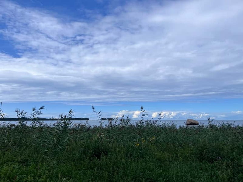 From Tallinn: Lahemaa National Park Day Trip - Starting Point and Logistics
