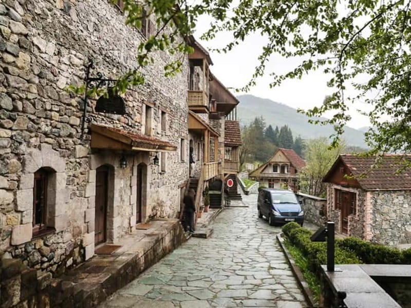 From Tbilisi: Armenia Dilijan, Sevan & Yerevan Day Tour - Price and Value