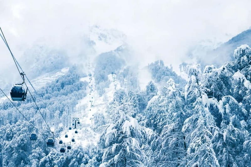 From Tbilisi: Borjomi and Bakuriani Ski Resort Private Tour - Why Choose This Tour?