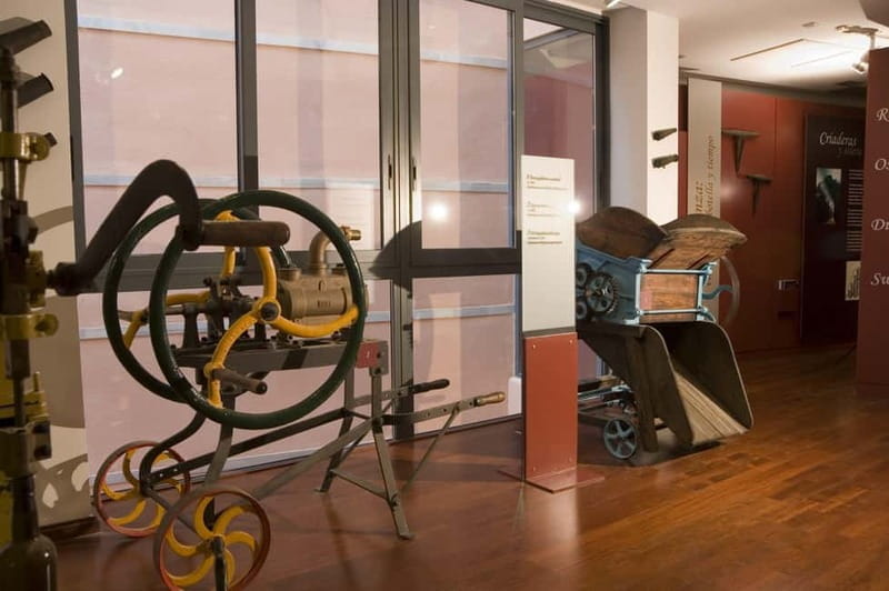 From the Costa del Sol: Excursion to Malaga with wine and flamenco tasting. - Walking Through Malaga’s Iconic Streets and Historical Gems