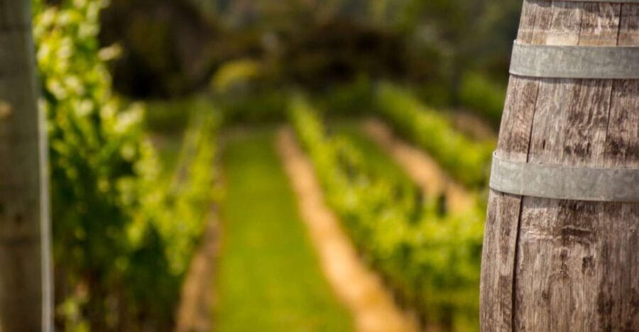 From Thessaloniki: Private Day Trip to Sithonia Chalkidiki - FAQ