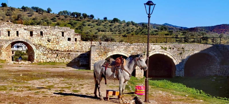 From Tirana: Berat City UNESCO Heritage and Belshi Lake Tour - Exploring Berat: Why It’s More Than Just a Pretty Face