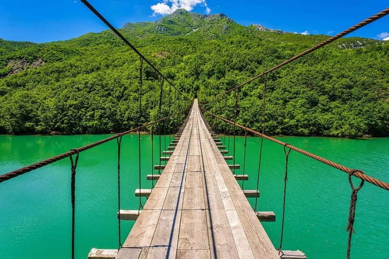 From Tirana: Ulza Lake and Patok Lagoon Day Trip - Patok Lagoon: A Birdwatcher’s Paradise