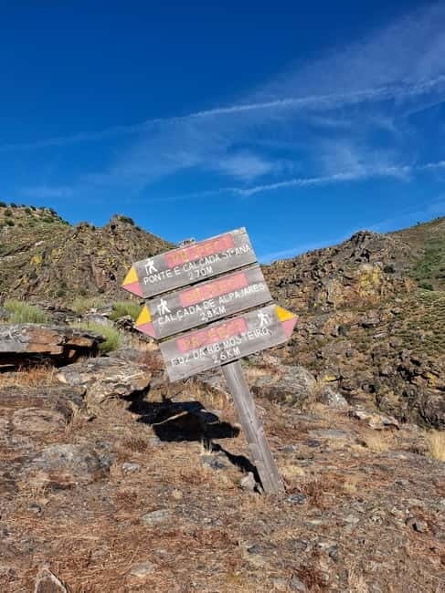 From Torre de Moncorvo: an Immersive Tour through Douro - Price and Logistics