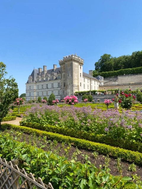 From Tours: Afternoon Loire Valley Wine Tour to Vouvray - Practicalities: Price, Logistics, and Who it’s For